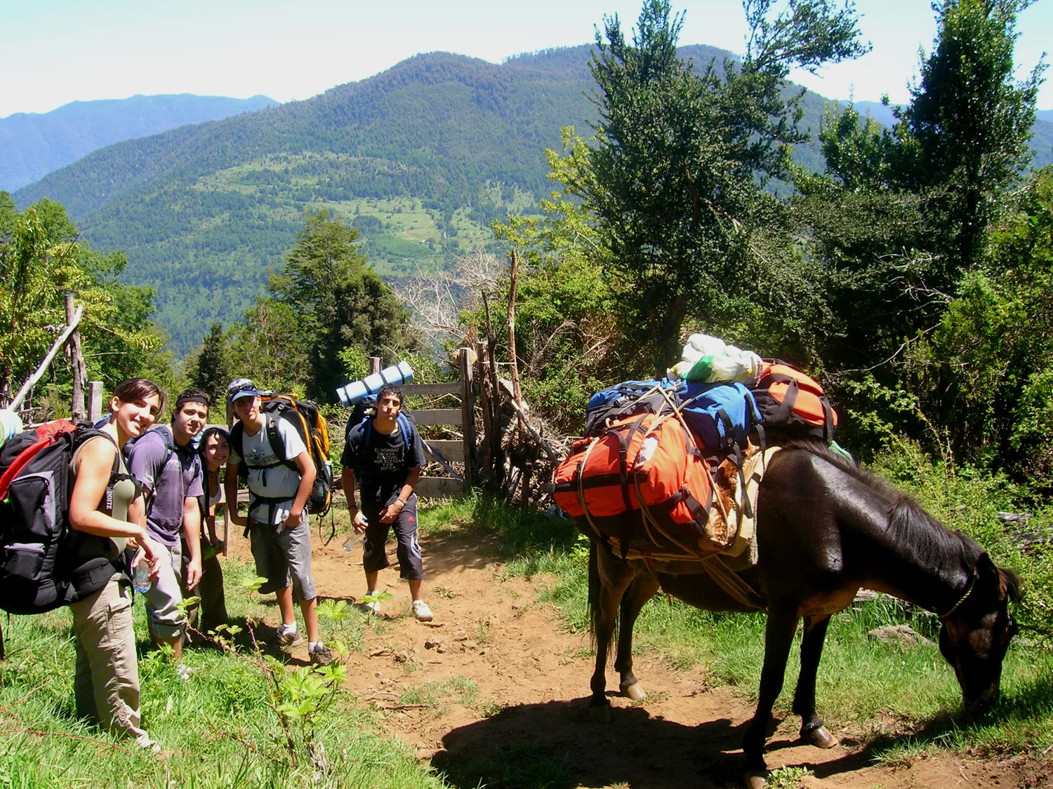 Nido de Águilas · El Cañi, Pucón