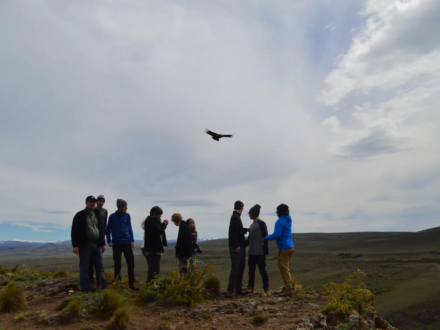 Nido de Águilas · Life in Patagonia