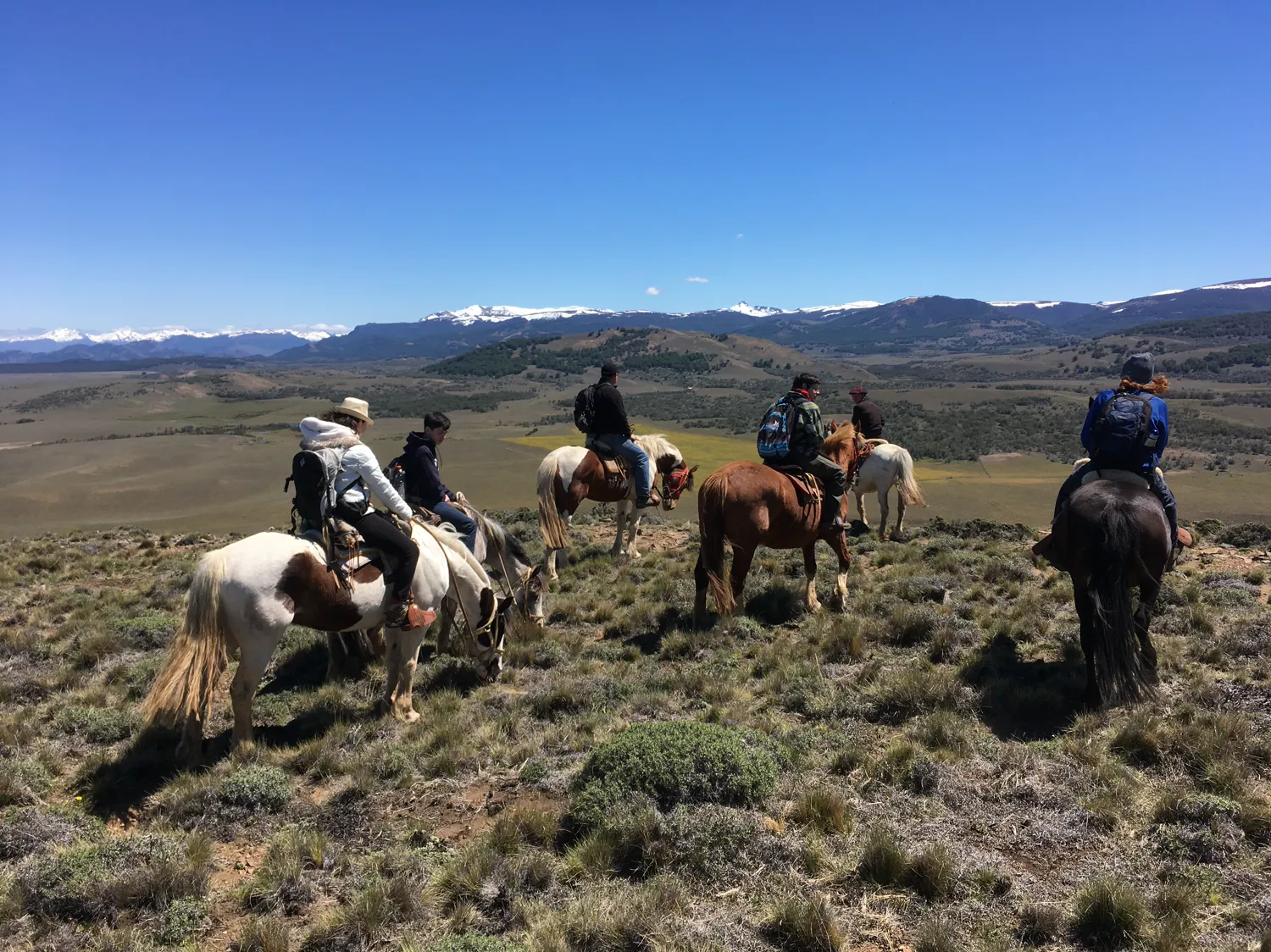 Nido de Águilas · Life in Patagonia