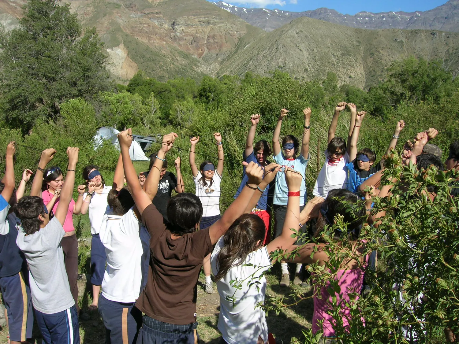 Pumahue 2008
