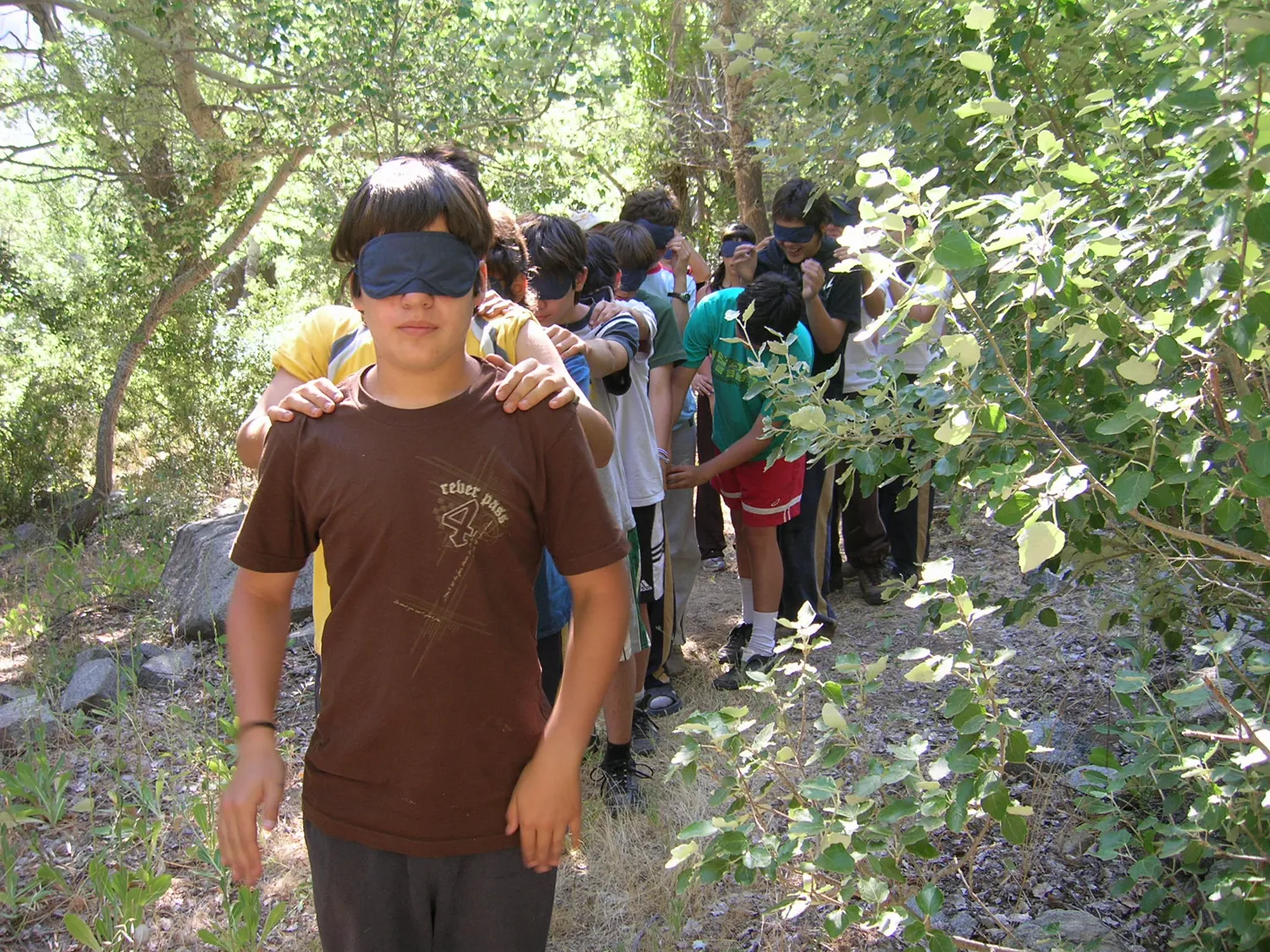 Pumahue 2008