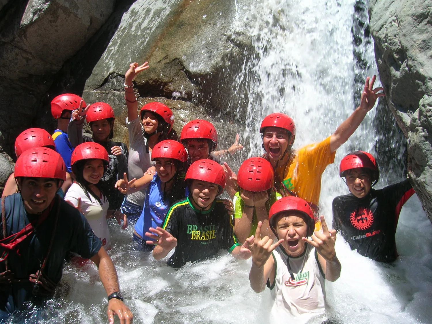 Pumahue 2008