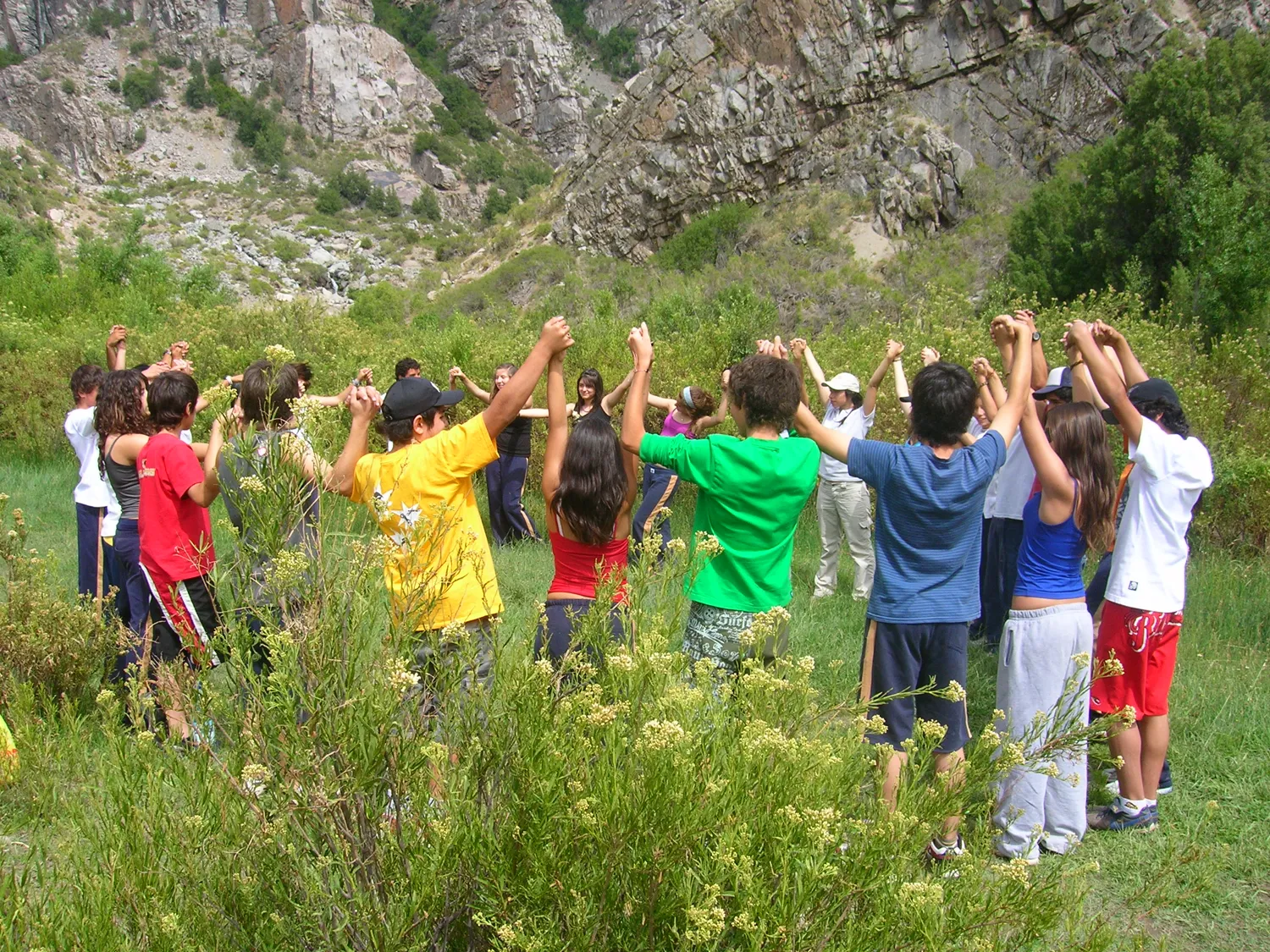 Pumahue 2008