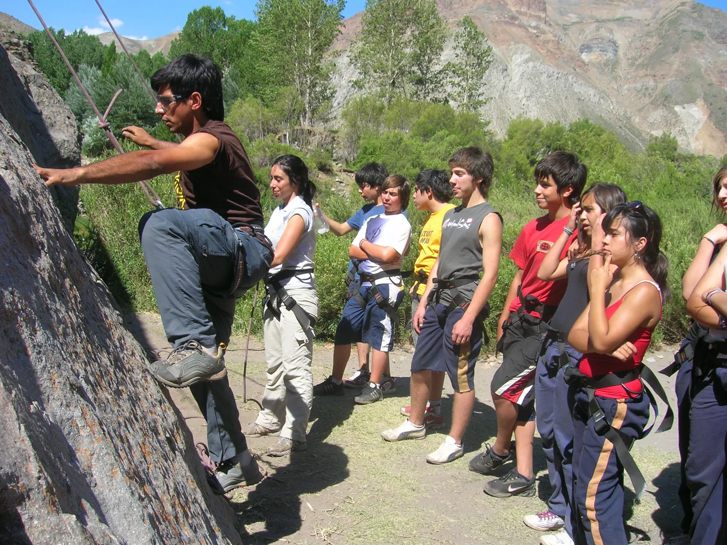 Pumahue 2008
