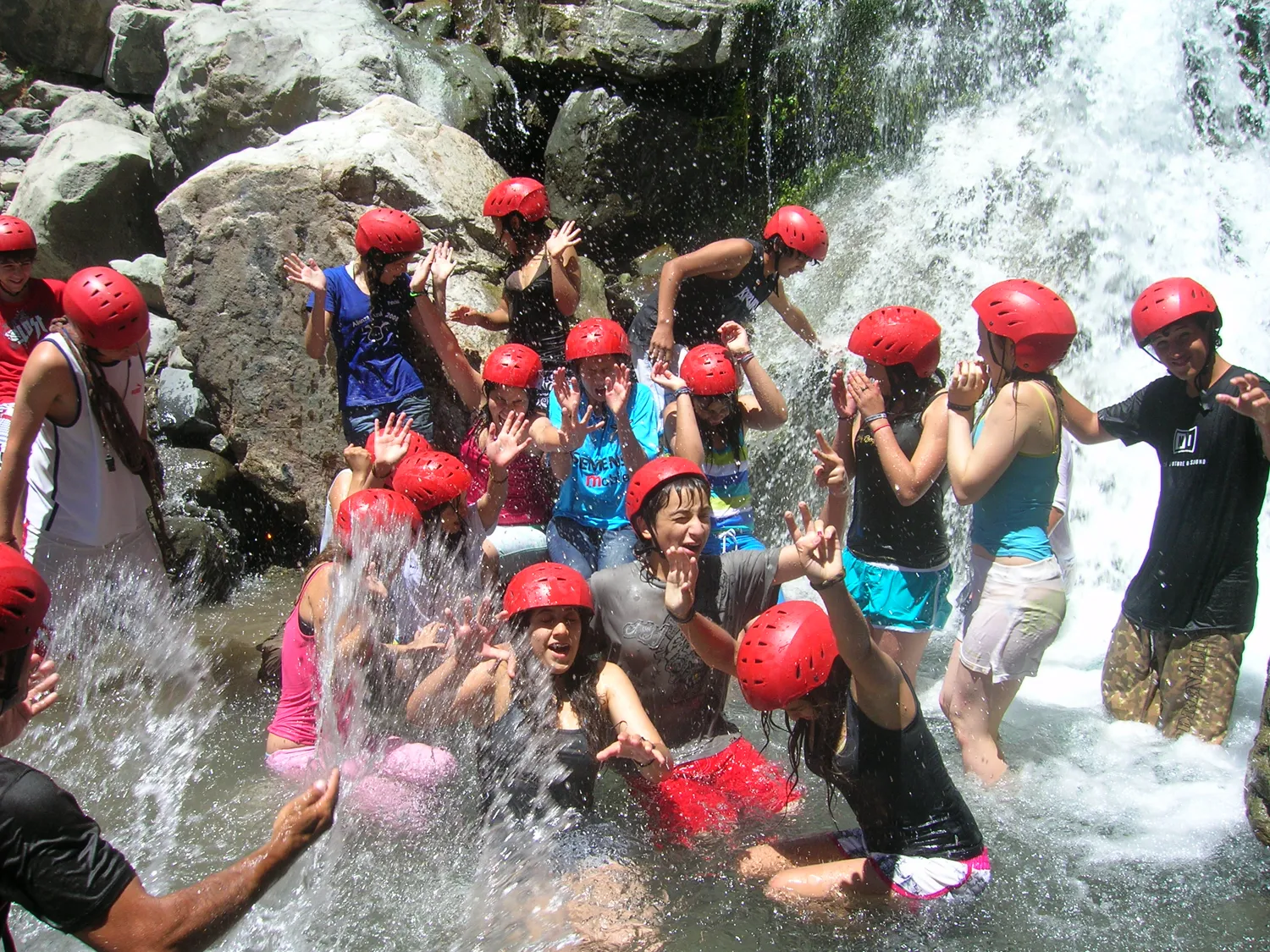 Pumahue 2008