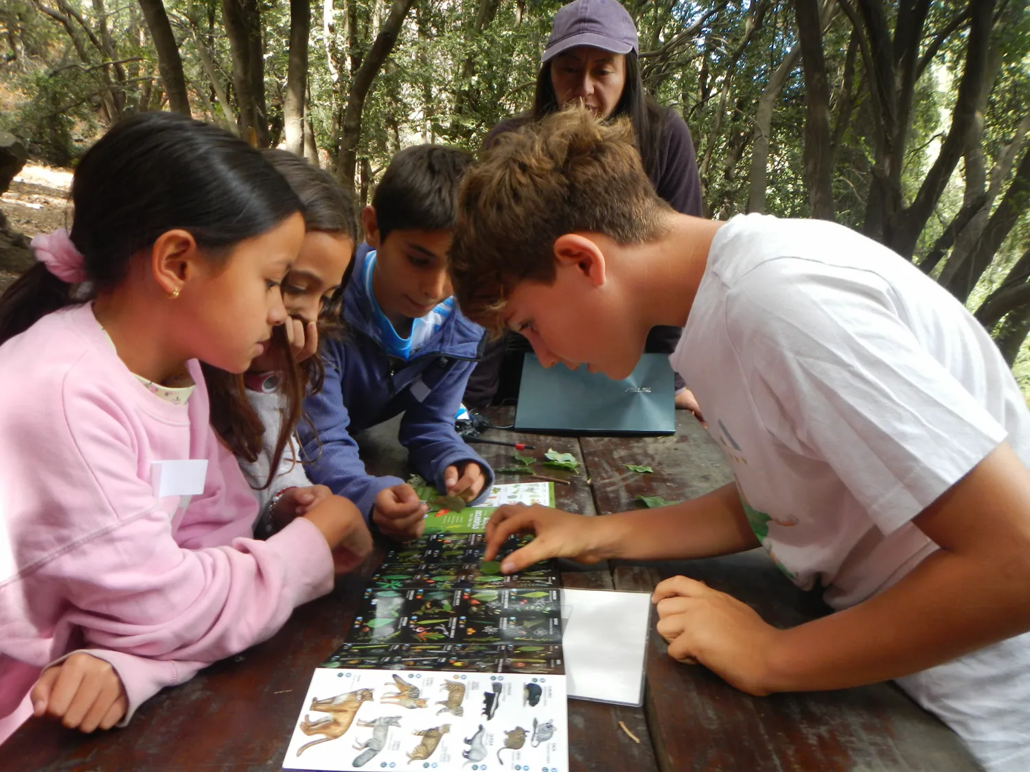 Santiago College · Santuario de la Naturaleza