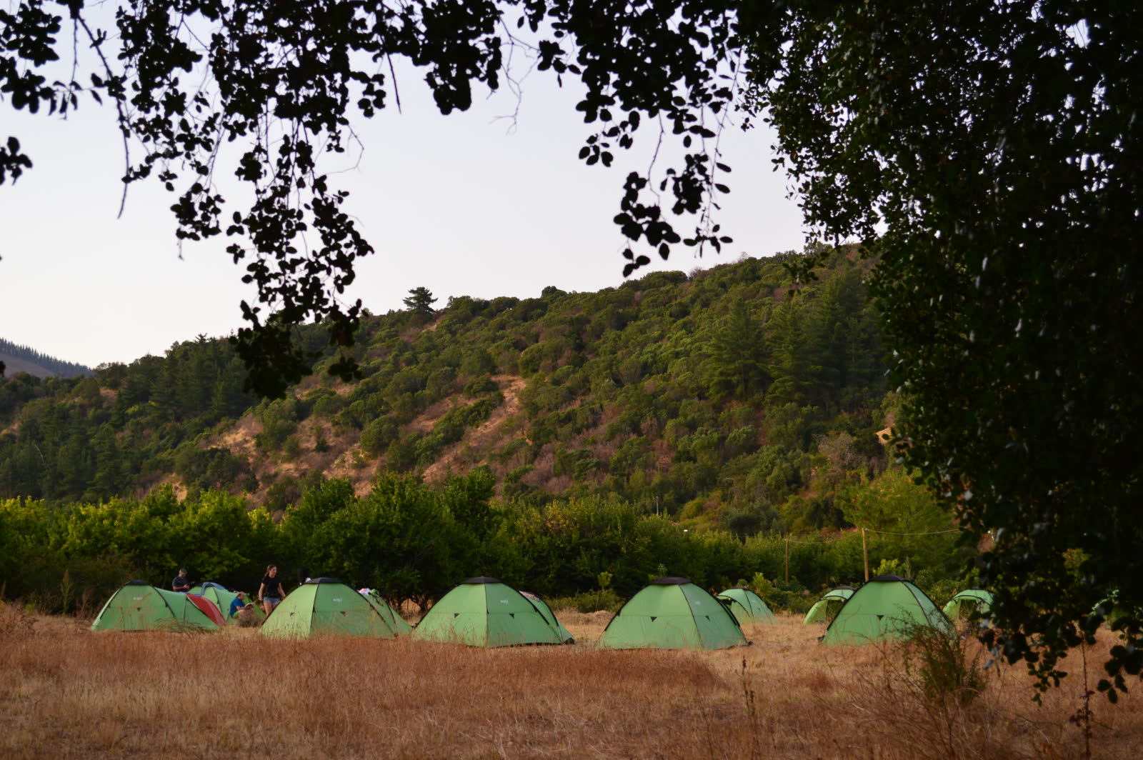 Actividades de Campamento