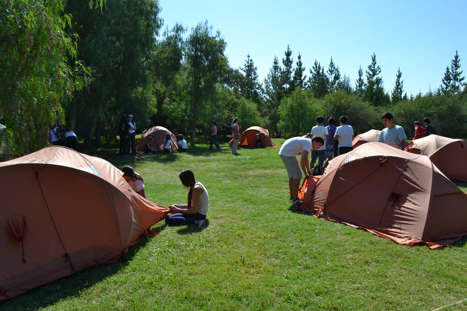 Actividades de Campamento