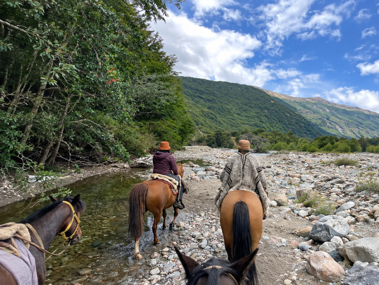 Descubre la Patagonia