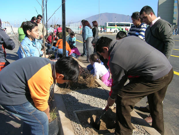 Educación y protección del medio ambiente