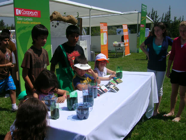 Educación y protección del medio ambiente