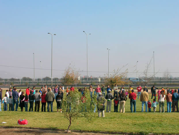 Educación y protección del medio ambiente