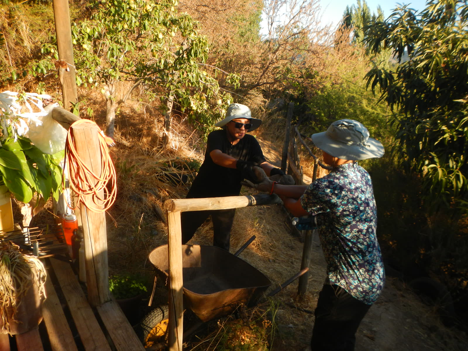 Servicio comunitario