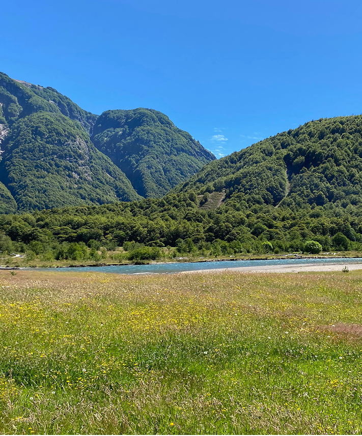 Descubre la Patagonia