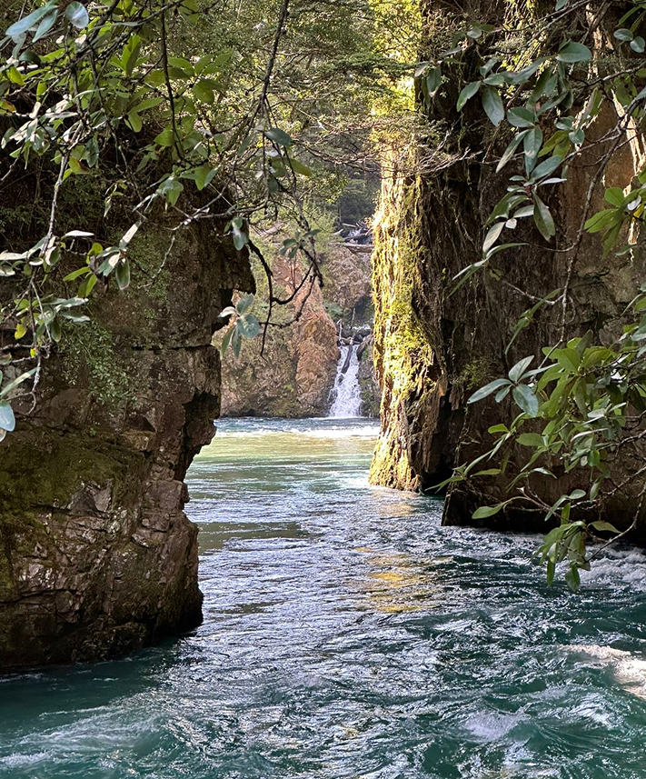 Descubre la Patagonia
