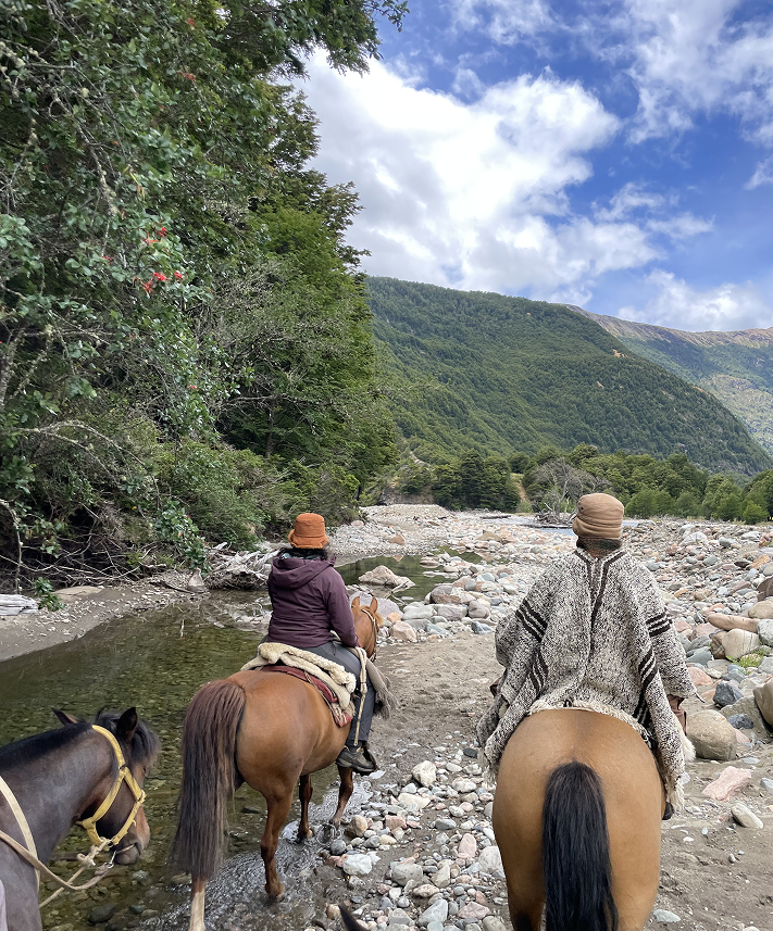 Descubre la Patagonia